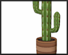 Cactus V2 ~