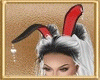 Bunny Black Ears