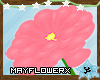 Blossom's Huge Flower
