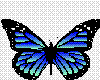Sticker - Butterfly3.