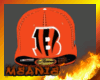 [ME] Bengals Fitted