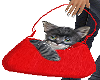Red Tote for Kitty
