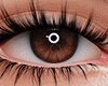 e. Eyes brown