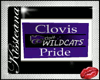 Clovis Wildcats poster