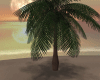 Modern Palm Tree real
