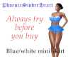 Blue/white mini skirt