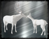 Winter White Deer