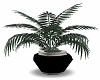 (NA) Plant
