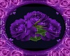 Purple Rose Picture