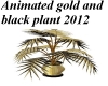 Gold Plant animated 2012