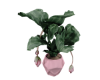A|| Potted Plant-1