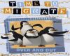 Pingu team migrate