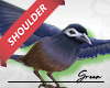 Shoulder Blue Bird 🟢
