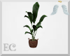EC| Potted Plant