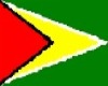 Guyanese Flag