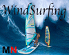 Windsurfing Board