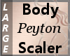 Body Scaler Peyton L