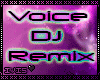 DJ Voicebox Remix