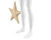Starfish Pet
