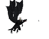 Black Animated Dragon