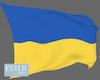 UKRAINE FLAG WINDY M/F
