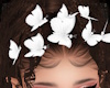 +Flutter Head - white