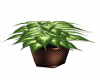 Bronze Potted Plant