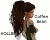 Hollie - Coffee Bean