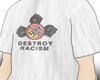 destroy racism ☢