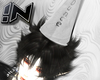 !N│ DUNCE! M & F