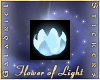 Flower of Light, S. Blue