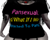 Pansexual Pride V3