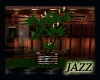 Jazzie-Blooming Beauty 