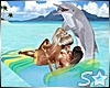 S* Paradise Dolphin Fun