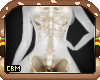CBM Opal Skeleton Female