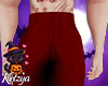 Kz. Scarl Pants