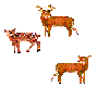 Deers 3 animated
