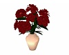 Red Harem flowers