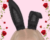 Bunny Ears 🌹