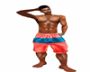 Men Swim Shorts