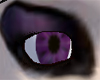 Arch-i-Tec Purple Eyes