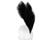 Hat Feathers |black