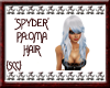{SCC}Spyder Palomo Hair