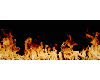 long banner animatd fire