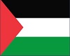PALESTINE FLAG CUTOUT