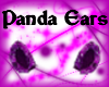 Purple Panda Ears [M]