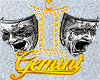 Gemini Chain Custom