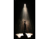 SPOTLIGHT
