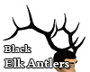 Black Elk Antlers