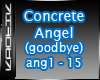 {k} Concrete Angel accou